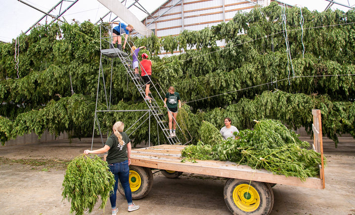 The Star Press features Wellness Tree Farms